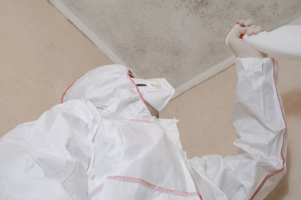 Best Toxic Mold Removal  in Leisure Knoll, NJ